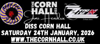 PURPLE JIMI  - HENDRIX TRIBUTE -